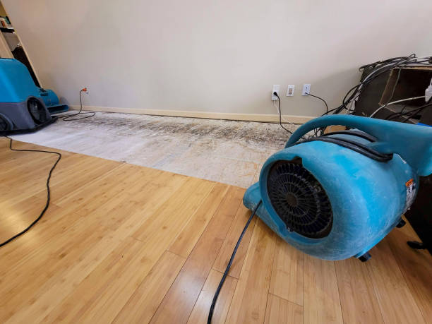 Professional Water Extraction technician working in Watertown, MN